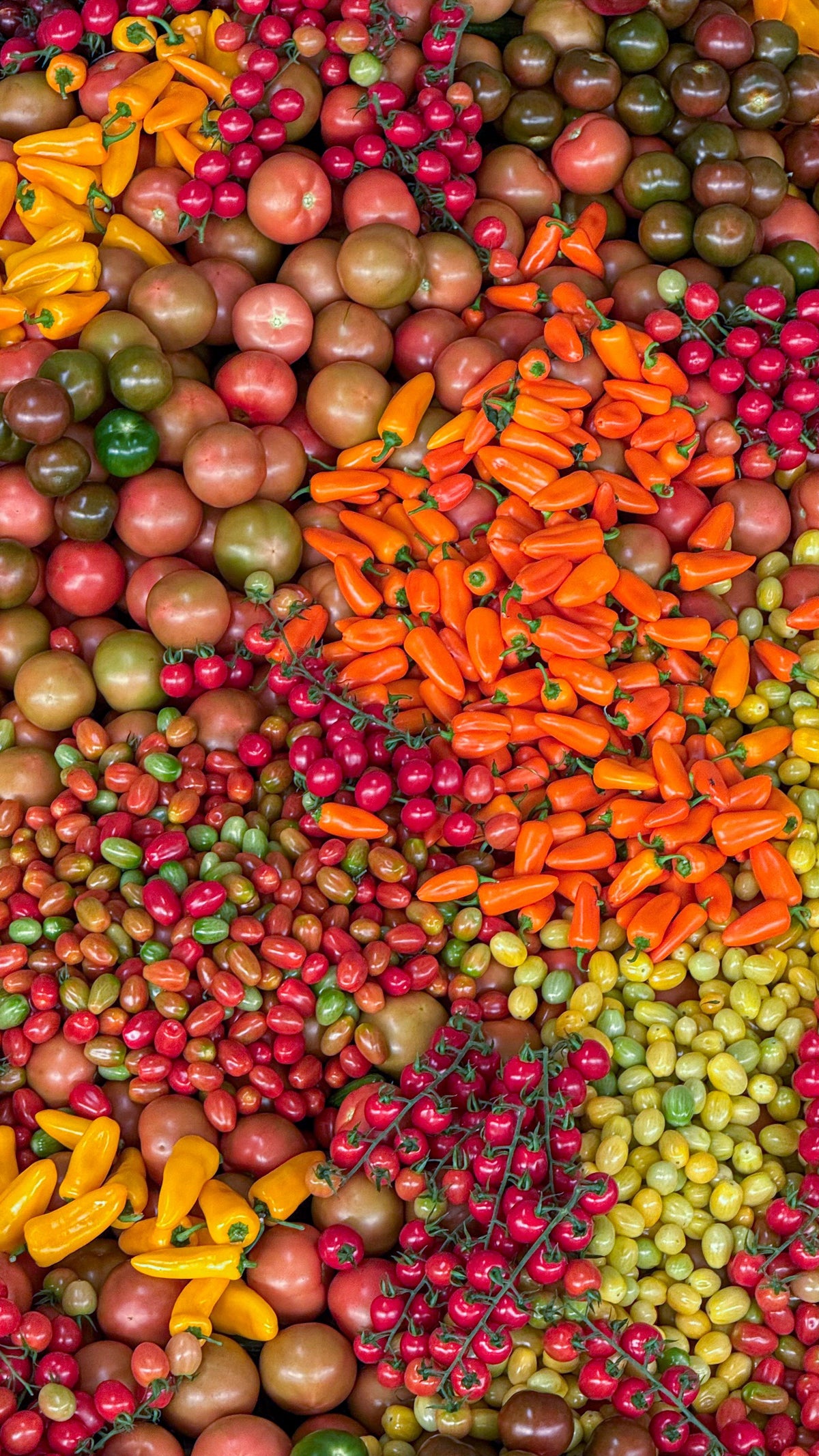 Autres produits sur demande