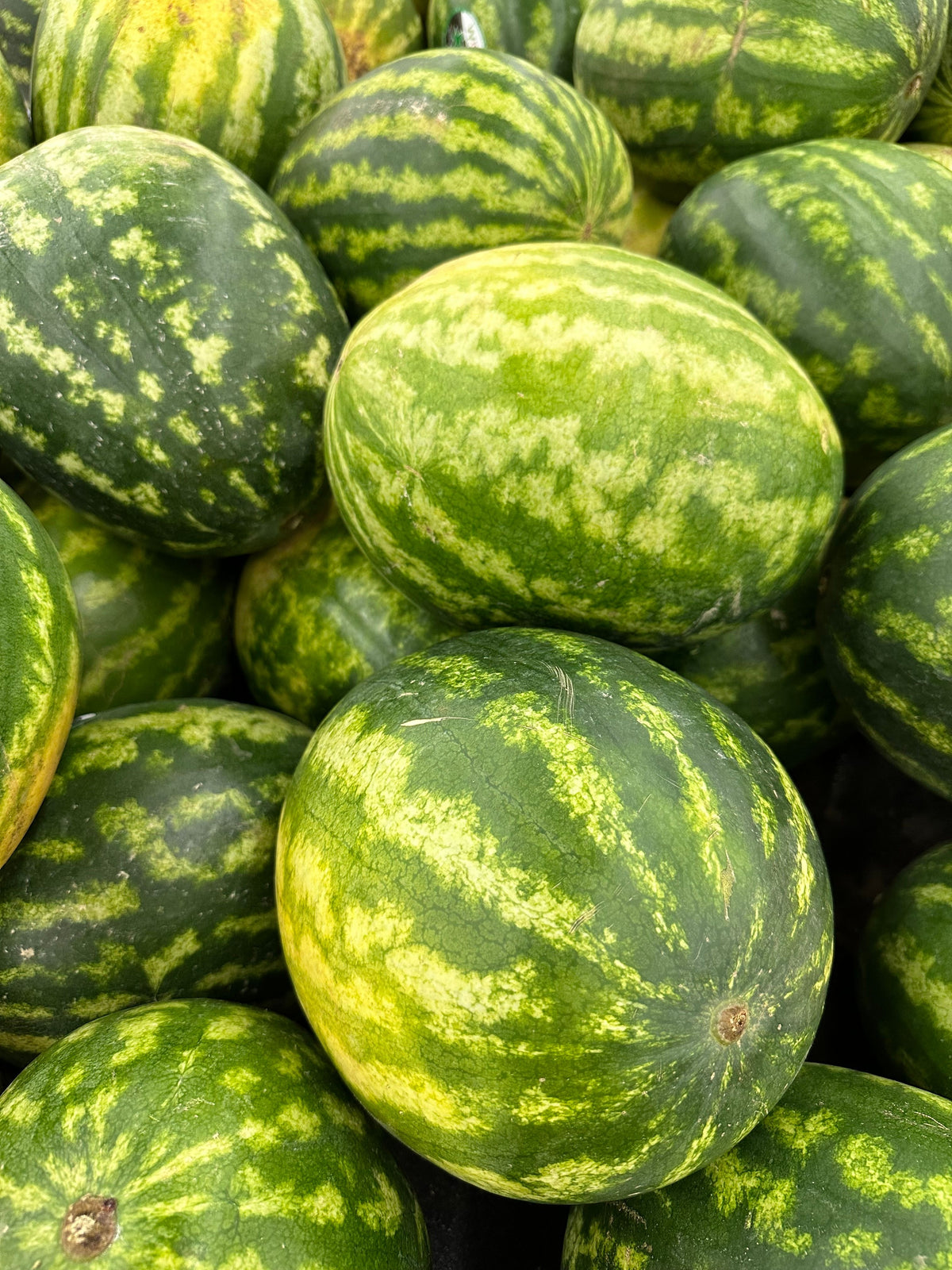 Pastèque